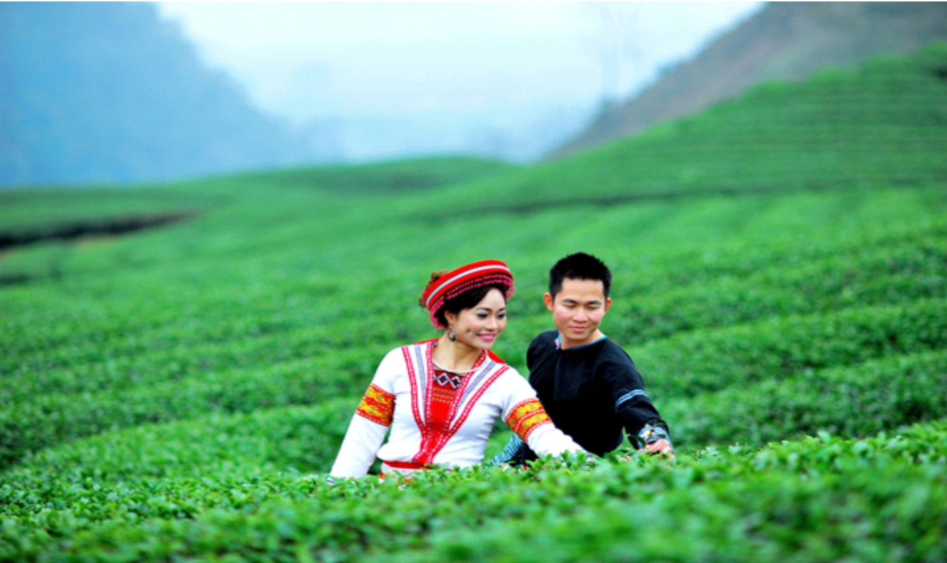 Đồi chè Tân Uyên Lai Châu nét đẹp thơ mộng Đồi chè Tân Uyên Lai Châu nét đẹp thơ mộng
